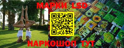 МДПВ Краснодар