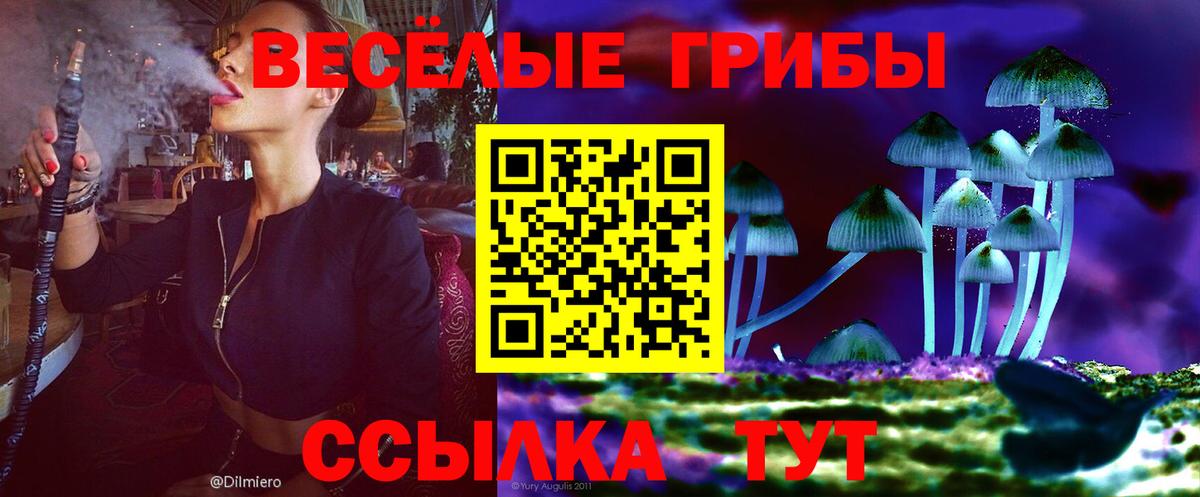 Галлюциногенные грибы Psilocybine cubensis Вольск
